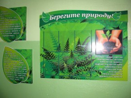 Экологические стенды для Пушковской СШ
